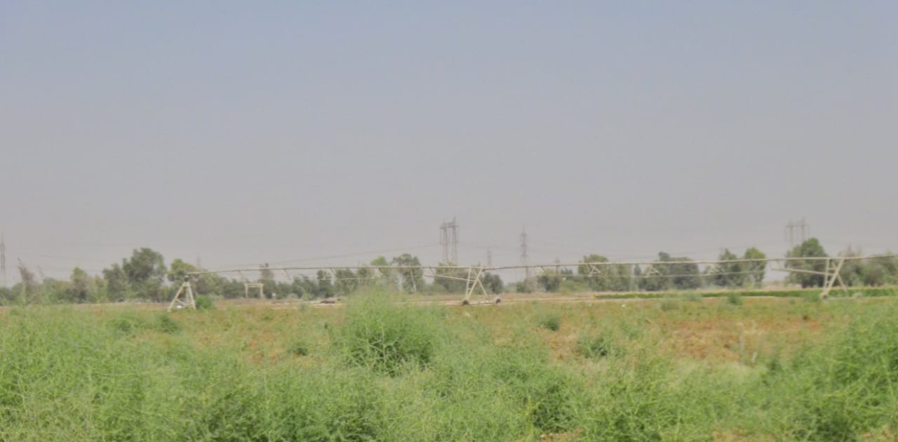 IMG-20240707-WA0022