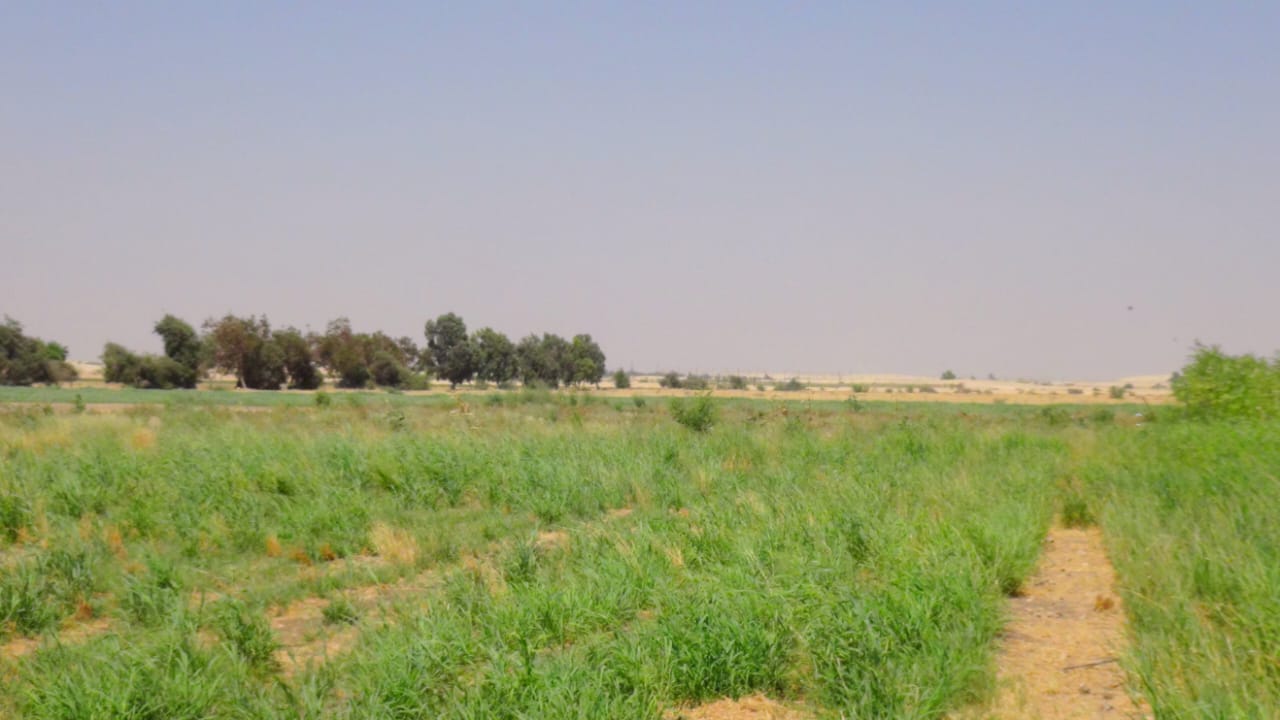 IMG-20240707-WA0028
