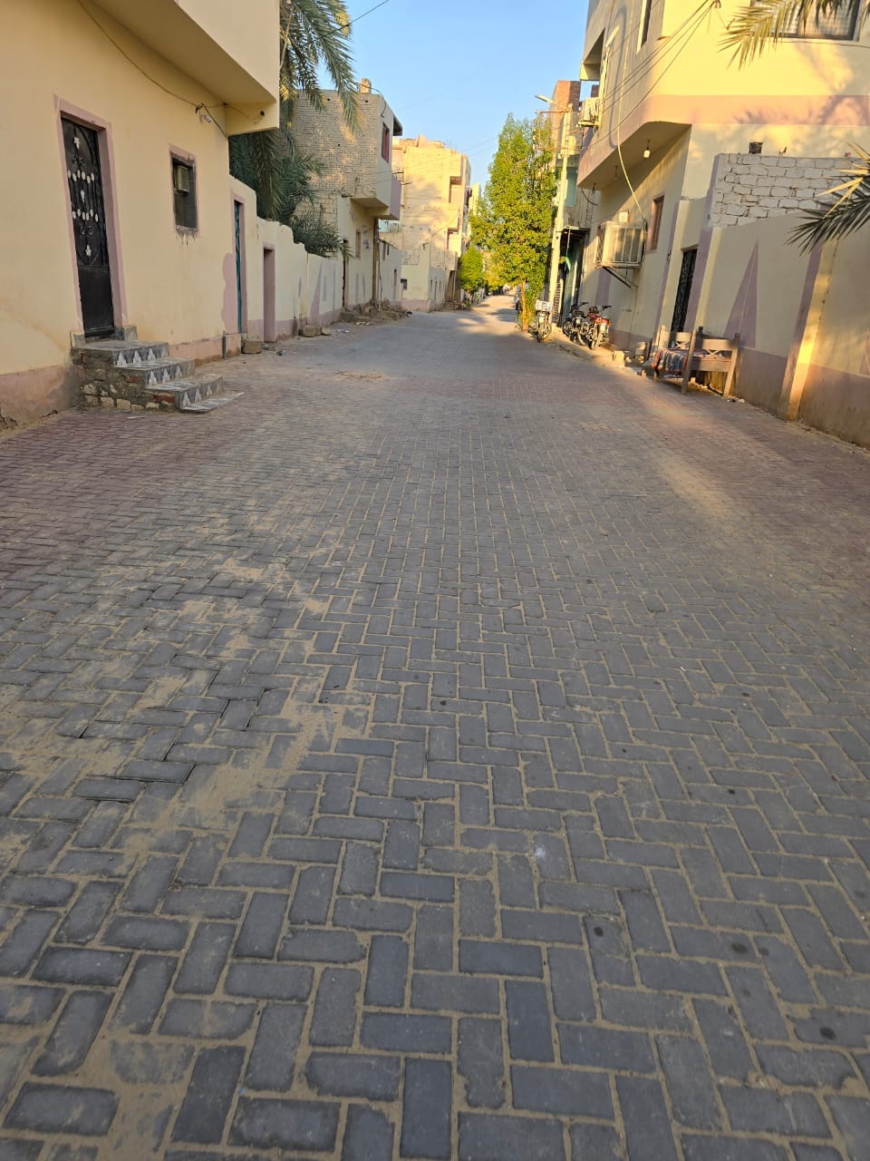 تطوير الأحياء الشعبية بواحة الخارجة في الوادي الجديد (2)