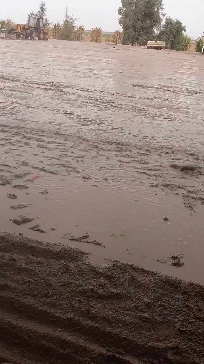 449792043_1087540742708605_6021730480236507403_n