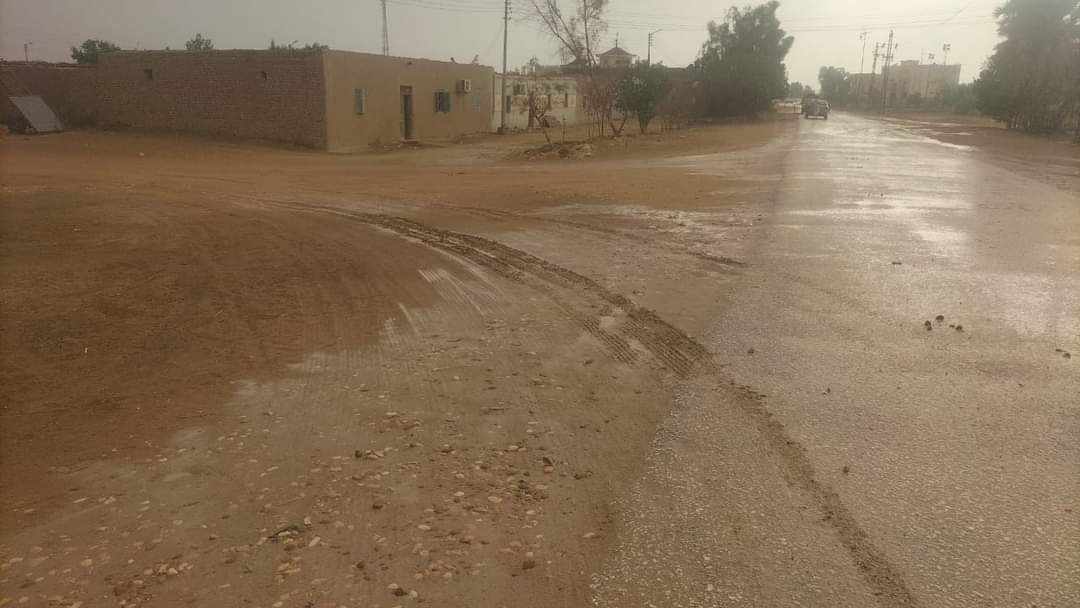 سقوط أعمدة إنارة وتضرر منازل بمركز باريس بسبب الأامطار (2)