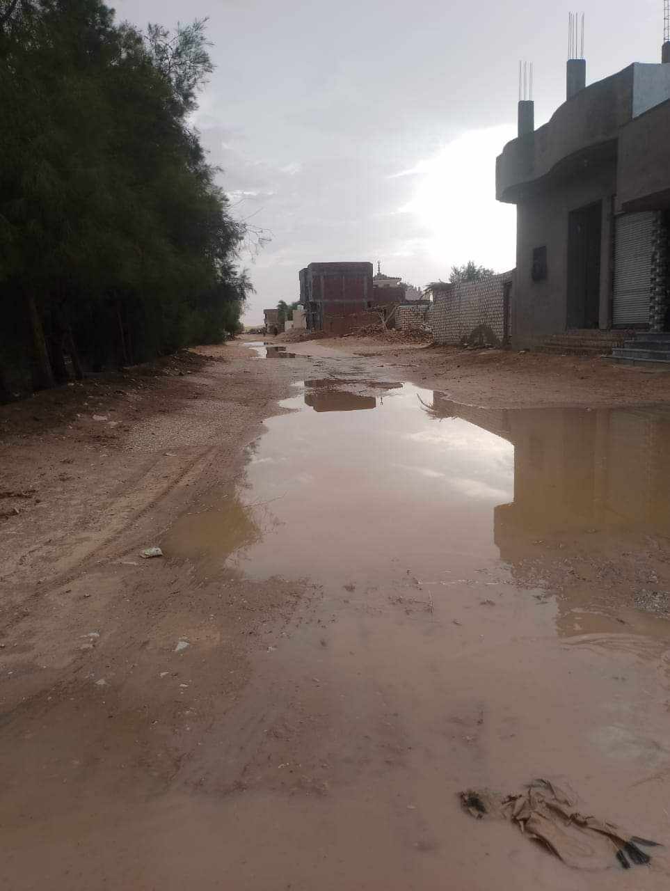 فصل التيار الكهربي عن قرى واحة باريس بالوادي الجديد بسبب الأمطار (4)