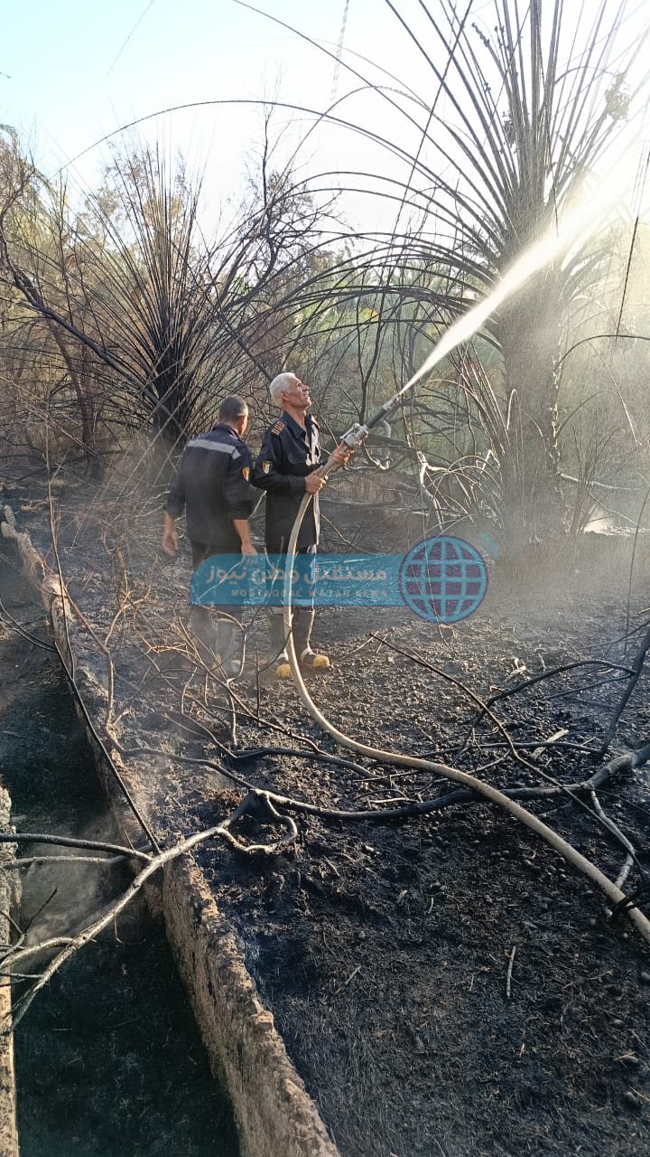 حريق بمزرعة نخيل بقرية القلمون بالداخلة (1)