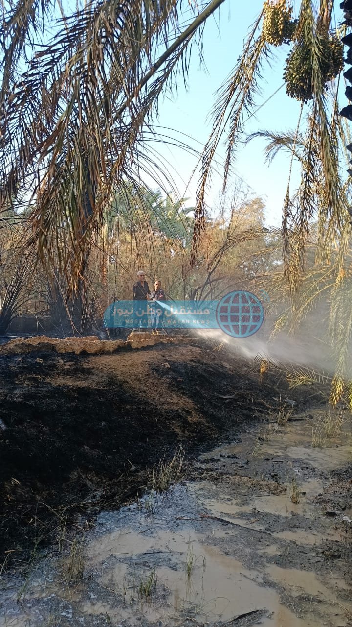 حريق بمزرعة نخيل بقرية القلمون بالداخلة (2)
