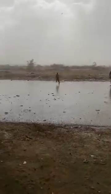سقوط امطار بشرق العوينات (2)
