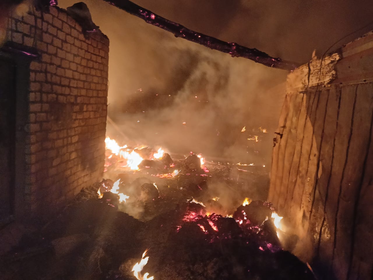 نفوق ماشية وتفحم حظائر في حريق هائل بقرية الهنداو في الوادي الجديد (11)