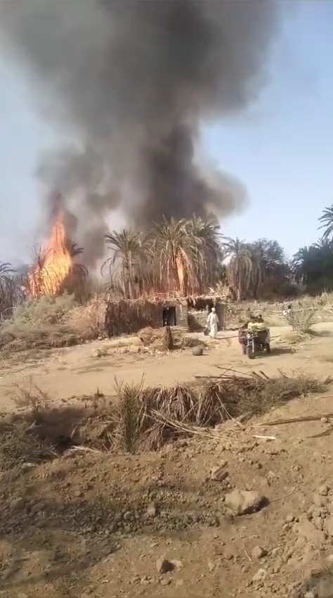 حريق مزرعة النخيل بقرية القصر بمركز الداخلة (2)