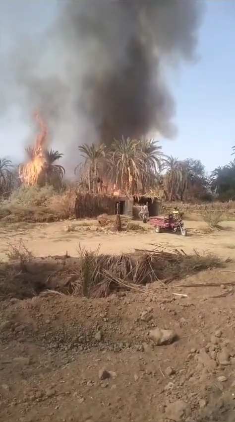 حريق مزرعة النخيل بقرية القصر بمركز الداخلة (3)