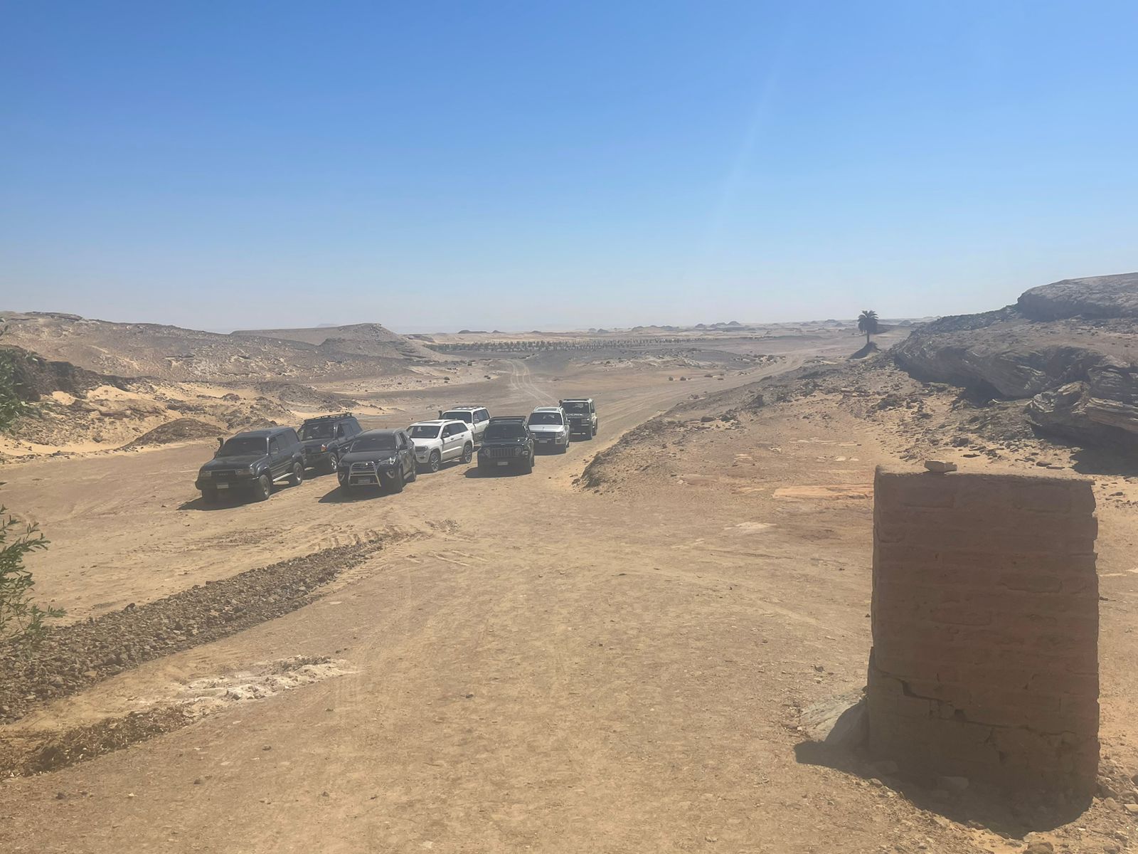 جانب من زيارات وفد بلجيكي لمعالم الوادي الجديد الأثرية (5)