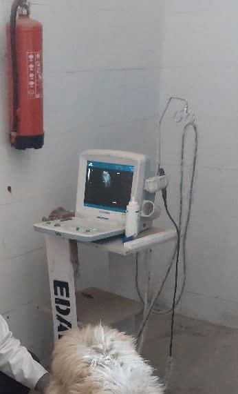 FB_IMG_1744481304234