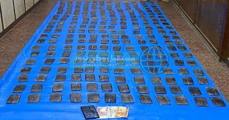 20033a50-5003-492a-b4cc-cb727e2a1a83