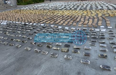 145f3731-1024-4ef7-b900-0249fed874c8