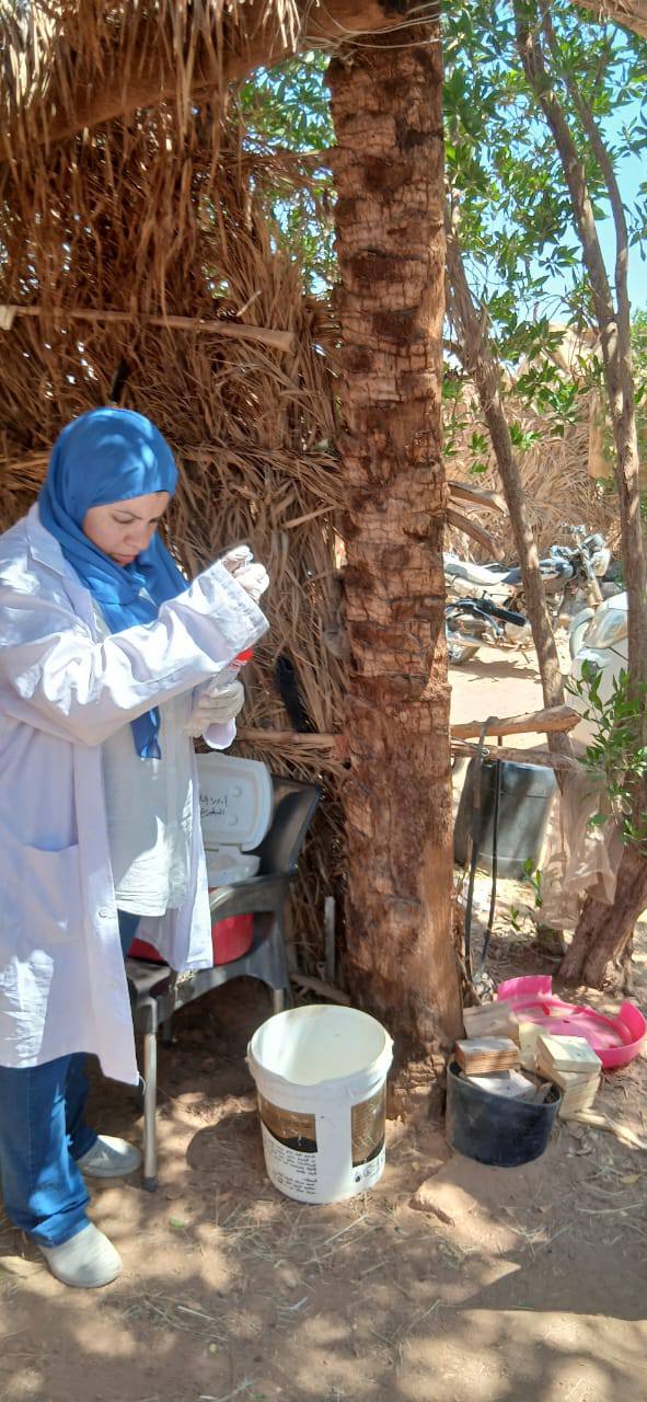 حملات الطب البيطري بالوادي الجديد (1)