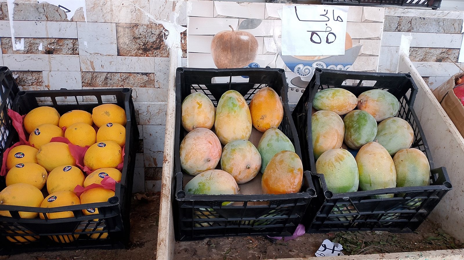 مبادرة لطرح الخضر والفاكهة بأسعار مخفضة بمركز باريس وقراه (3)