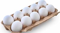 تلاعب كبير في سوق «البيض» وراء ارتفاع أسعاره 