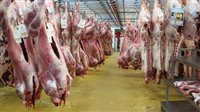 استقرار أسعار اللحوم الحمراء في الأسواق المصرية 