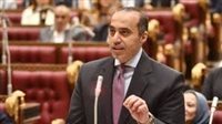وزير الشؤون النيابية والقانونية: الحكومة لا تحتكر الكهرباء 