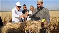 محافظ المنيا: توريد أكثر من 19 ألف طن قمح إلى الشون والصوامع حتى الآن 
