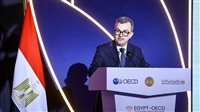 وزير التخطيط: البرنامج القطري مع منظمة التعاون الاقتصادي محطة هامة في مسار التعاون الاستراتيجي 