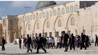 «شؤون القدس» تحذر من دعوات إزالة الأقصى ومسيرات المستوطنين 